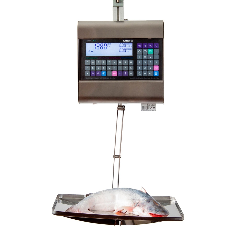 REPORT NX ETHERNET HANGING SCALE