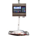 REPORT NX ETHERNET HANGING SCALE