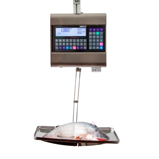 [RPXCOL30] BÁSCULA REPORT NX 30KG COLGANTE