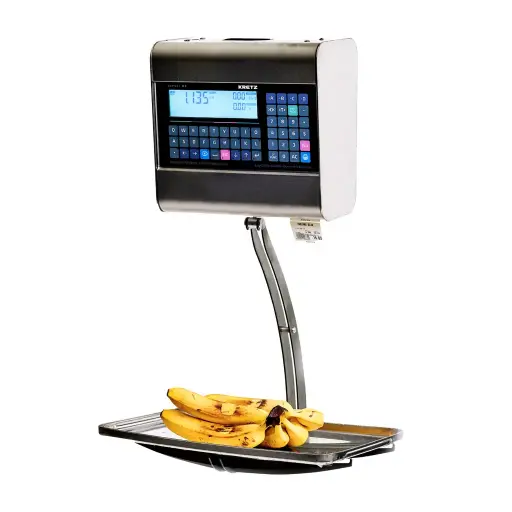 [RPXCOL30] BÁSCULA REPORT NX 30KG COLGANTE